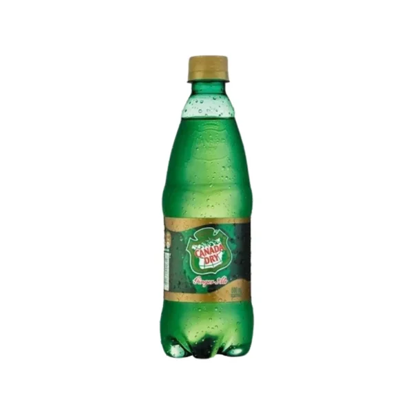 CANADA DRY GINGER ALE 600CC