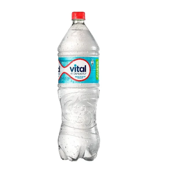AGUA VITAL SIN GAS 1.6LT