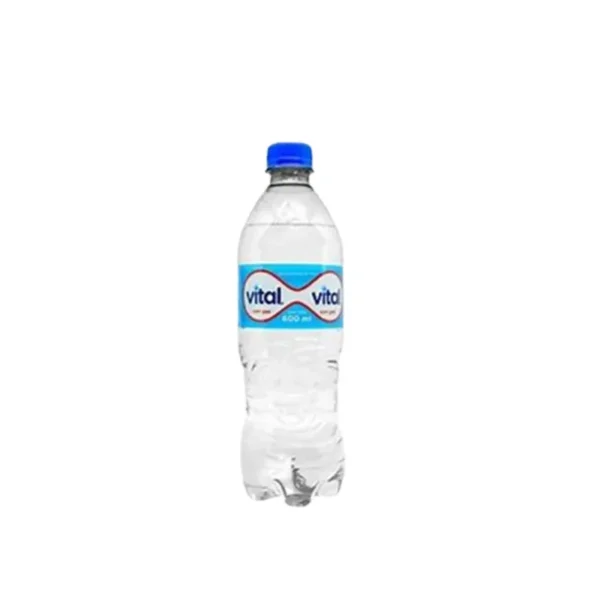 AGUA VITAL CON GAS 600ML