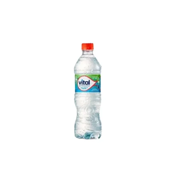 AGUA VITAL SIN GAS 600ML